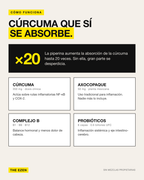 Cómo funciona RLF Complex: la piperina aumenta la absorción de la cúrcuma; con axocopaque, complejo B y probióticos