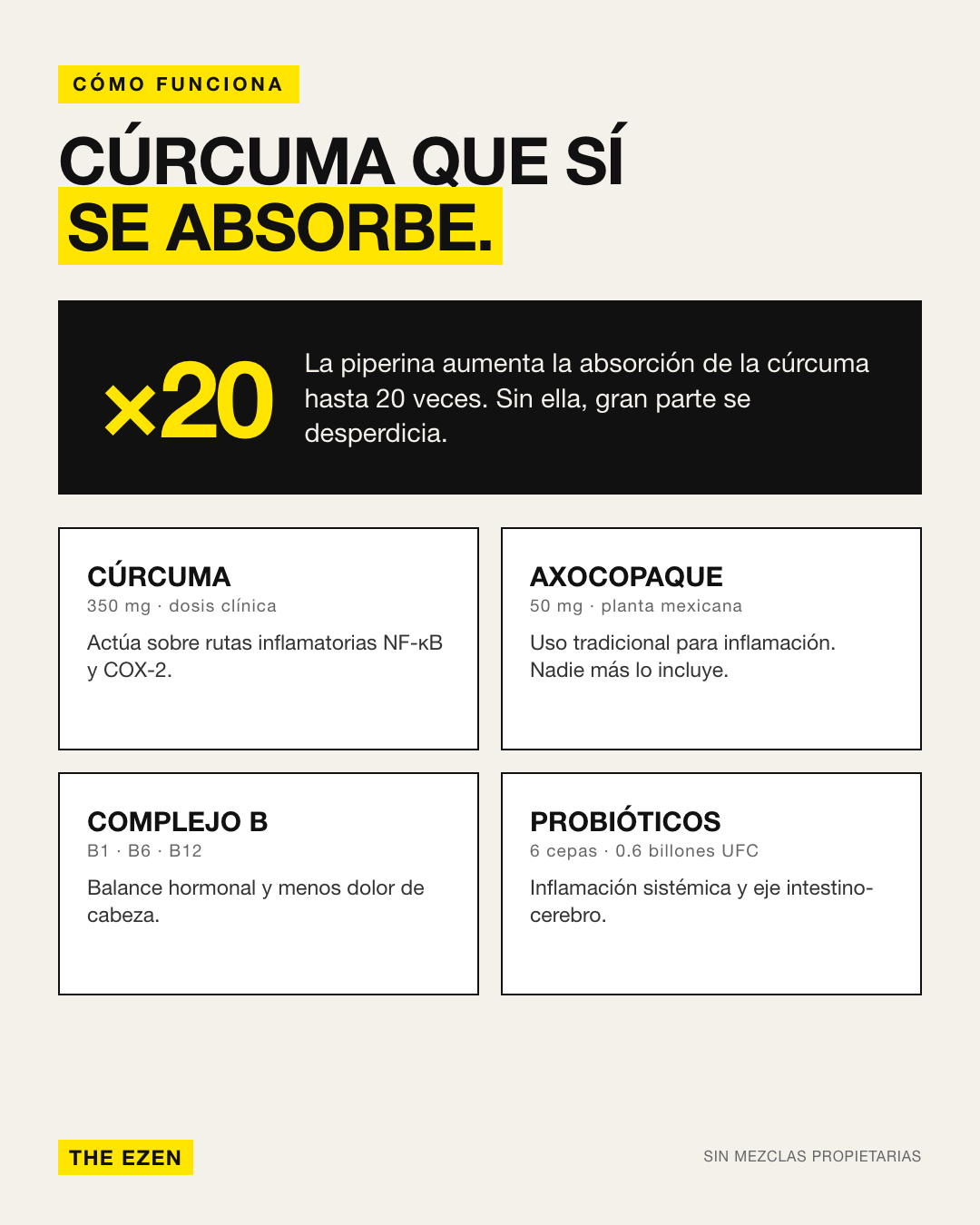Cómo funciona RLF Complex: la piperina aumenta la absorción de la cúrcuma; con axocopaque, complejo B y probióticos